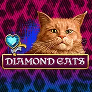 Diamond Cats