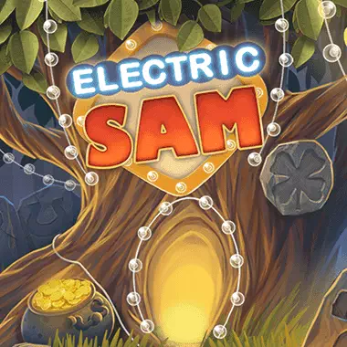 elk/ElectricSam