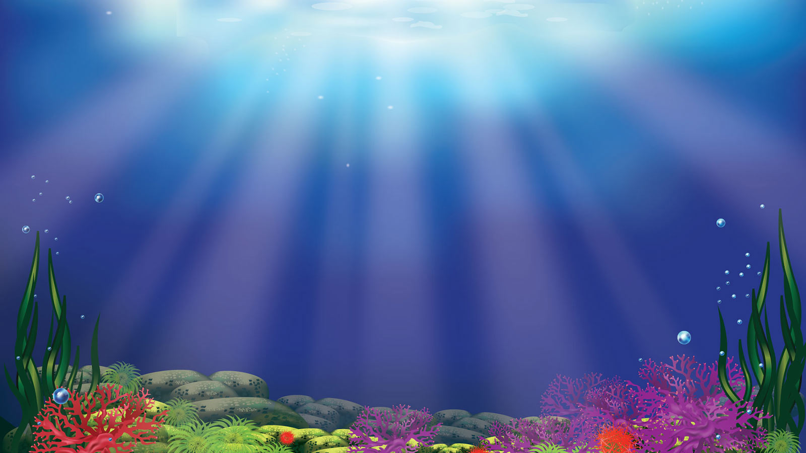 Dolphin's Luck 2