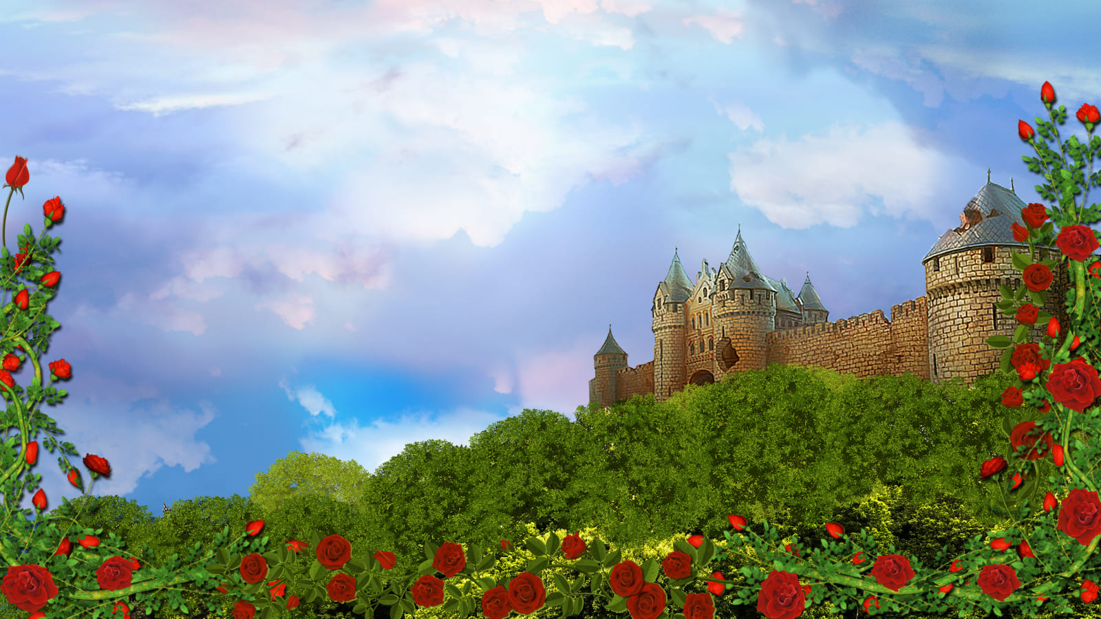 Knight's Heart