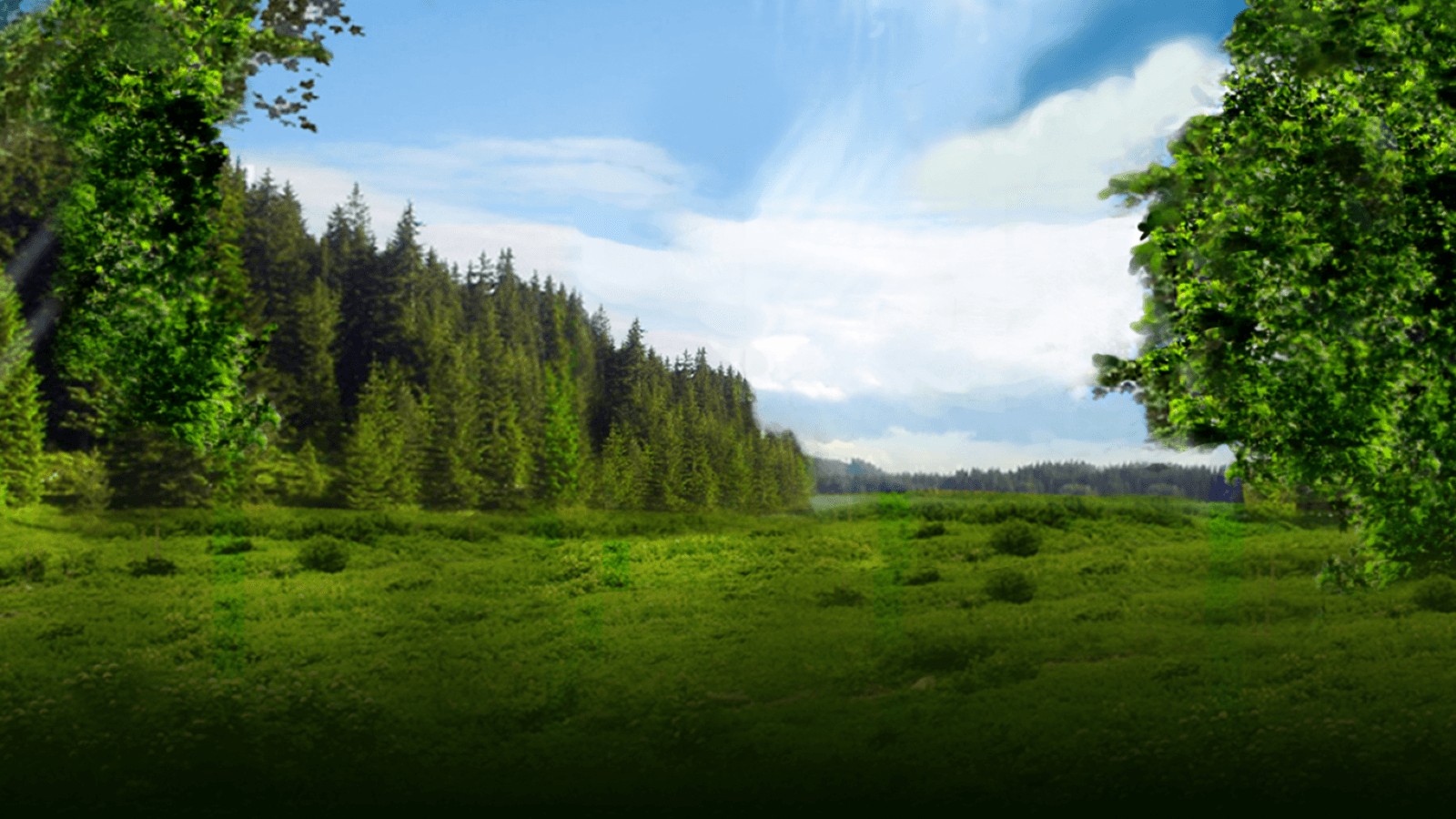 Majestic Forest Buy Bonus