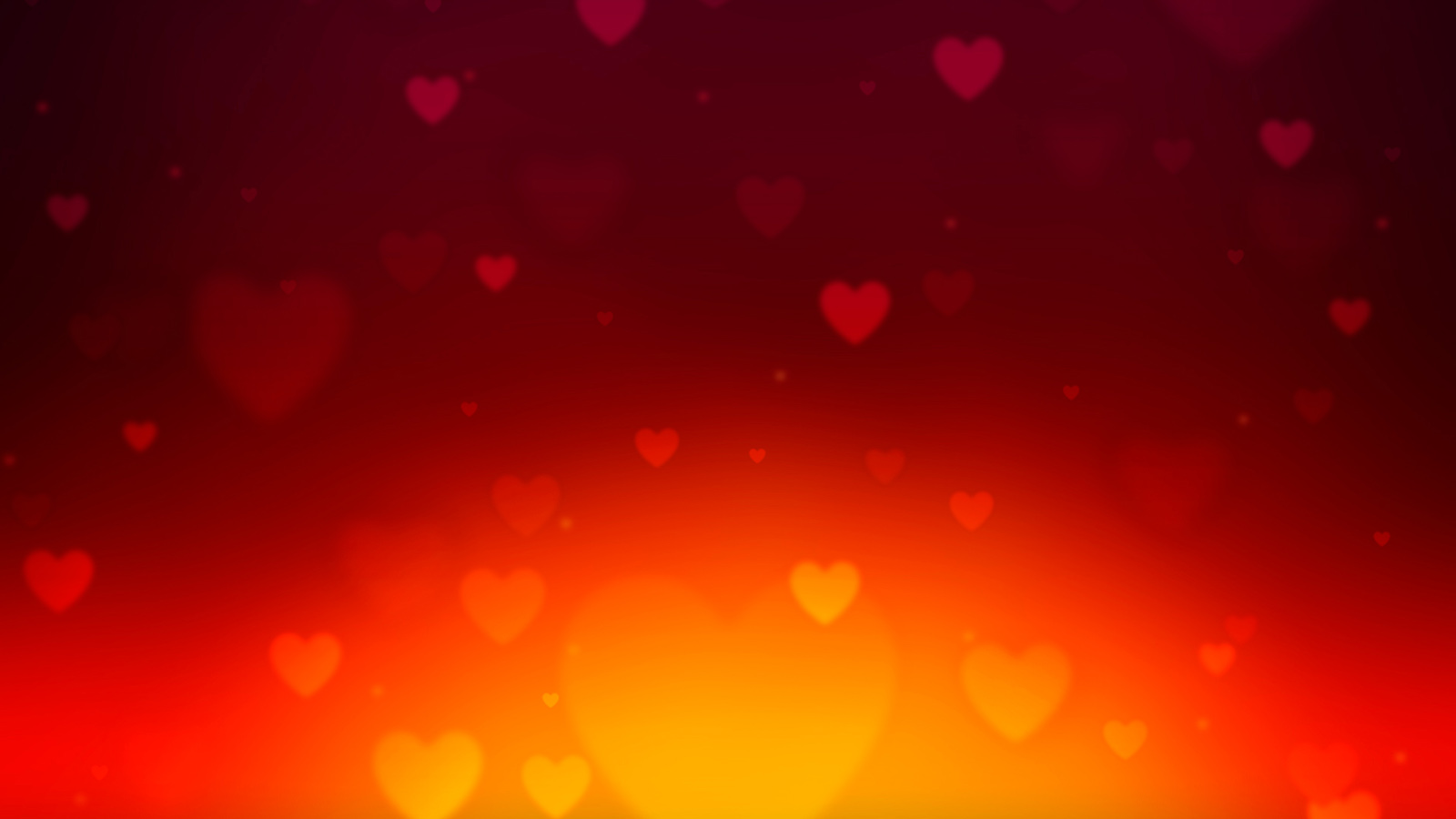 Wild Love