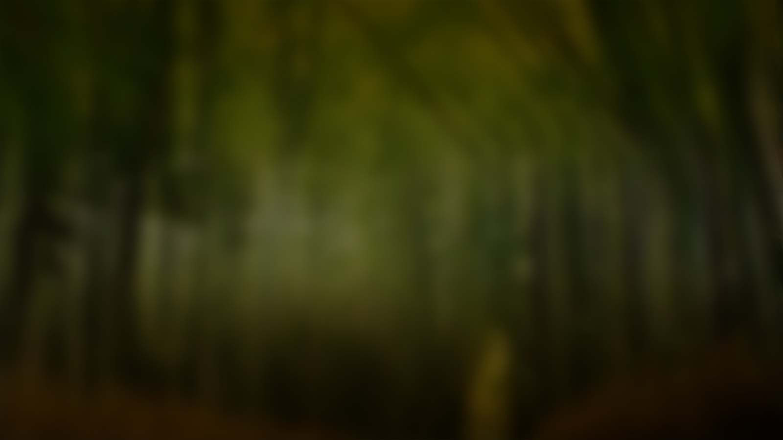 Bamboo Bear