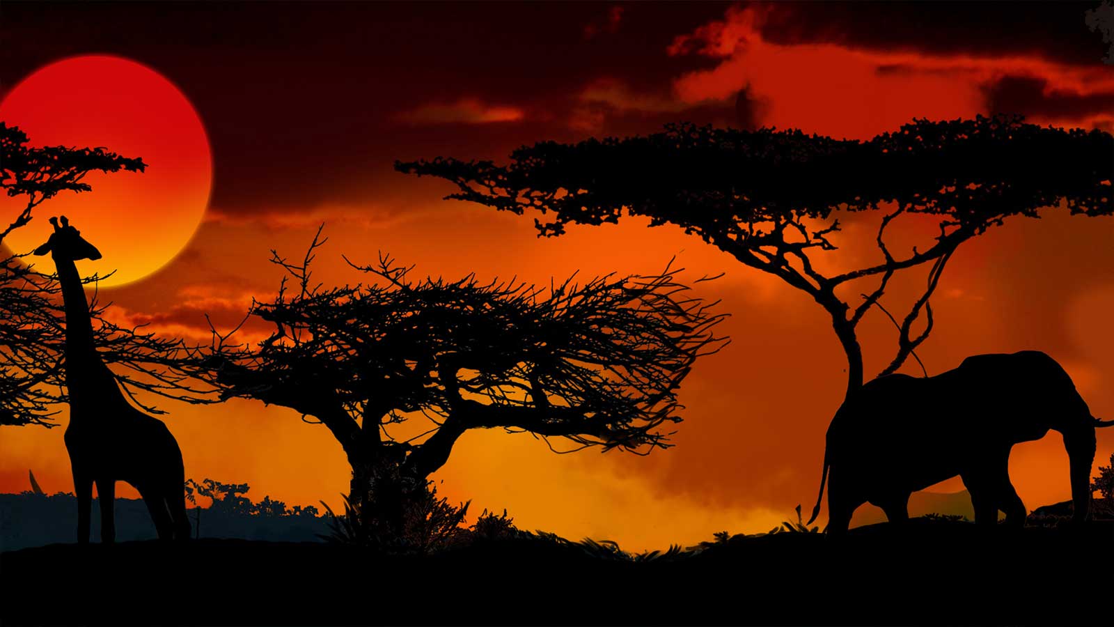 Savanna Safari