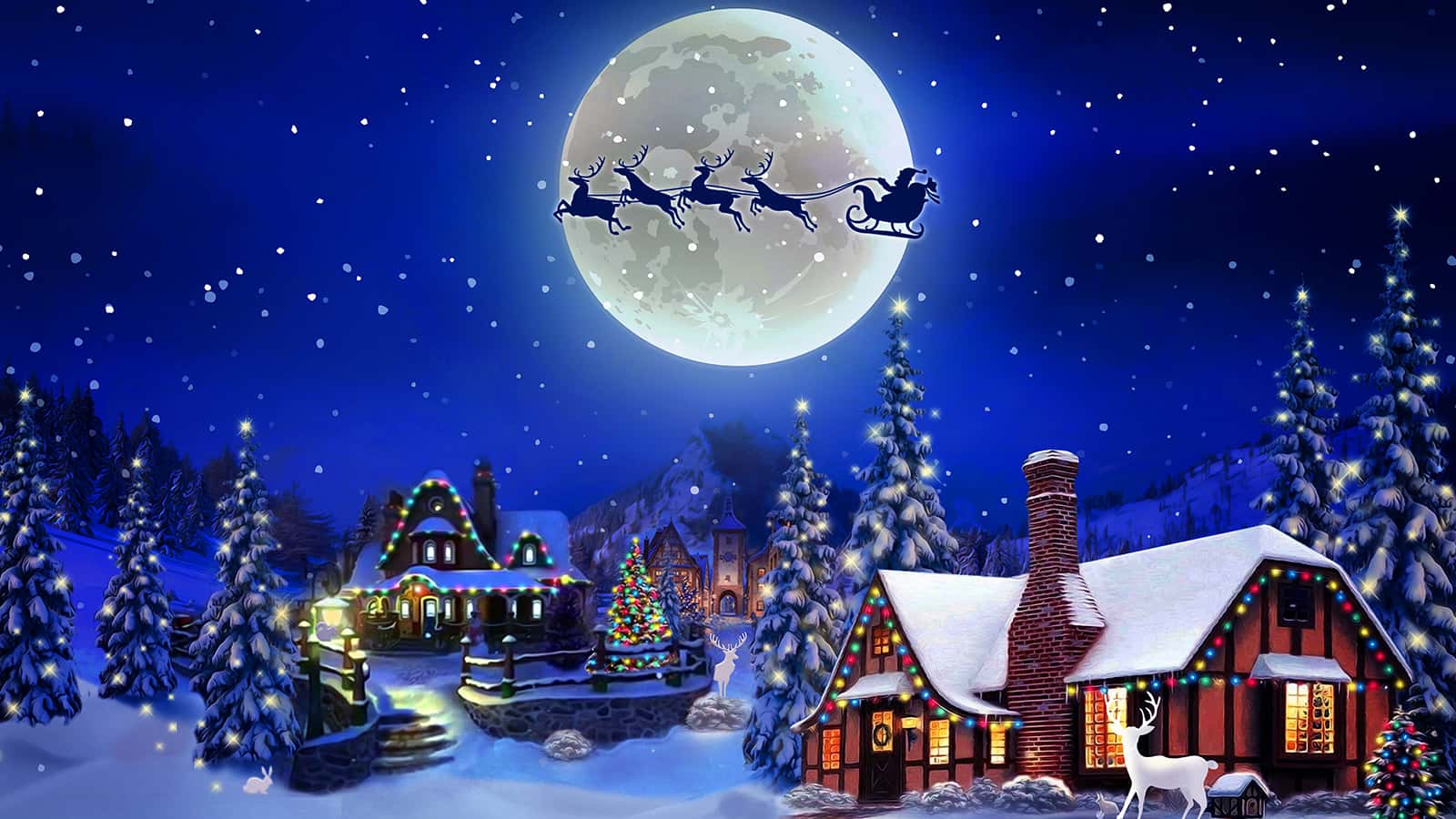 Book Of Mrs Claus
