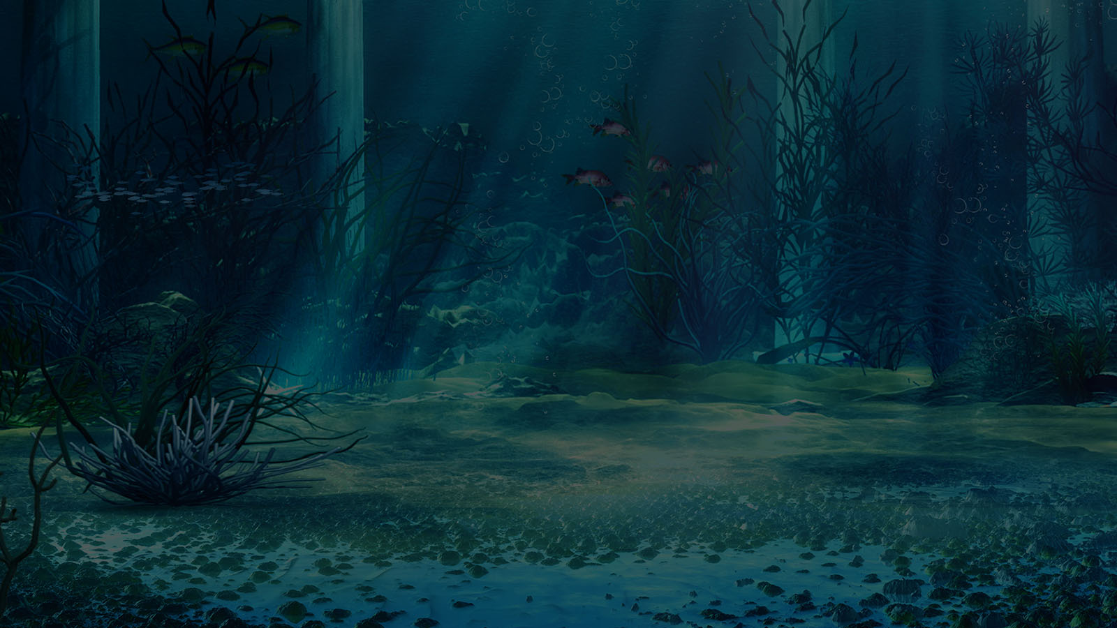 1 Reel Reef
