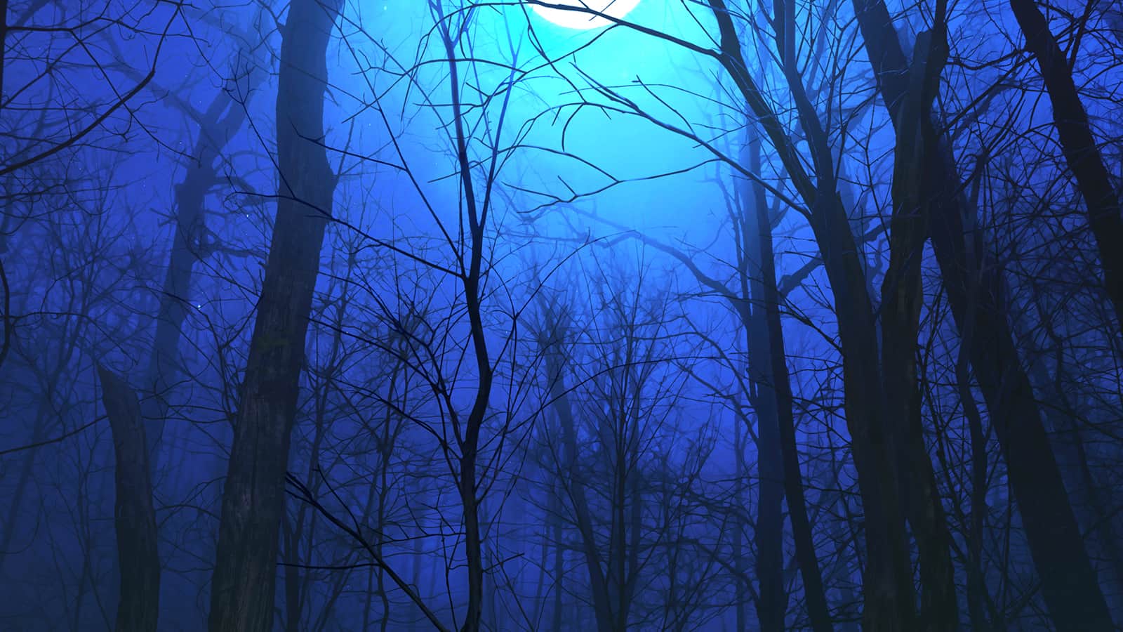 Baba Yaga Tales