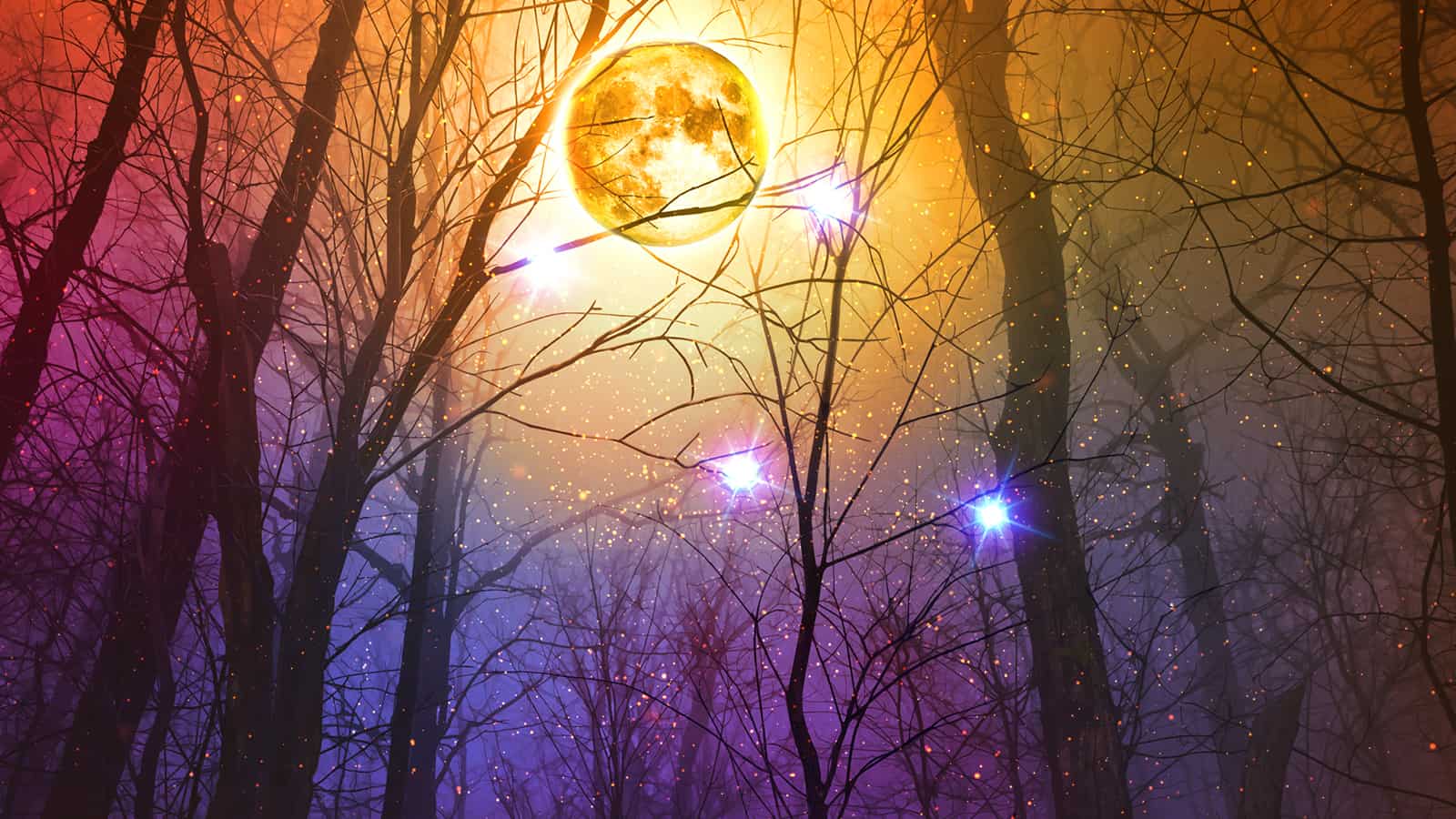 Book of Wolves - Full Moon