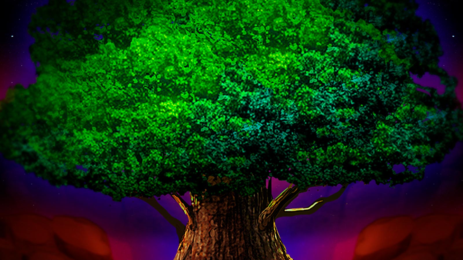 Moon Oak Deluxe