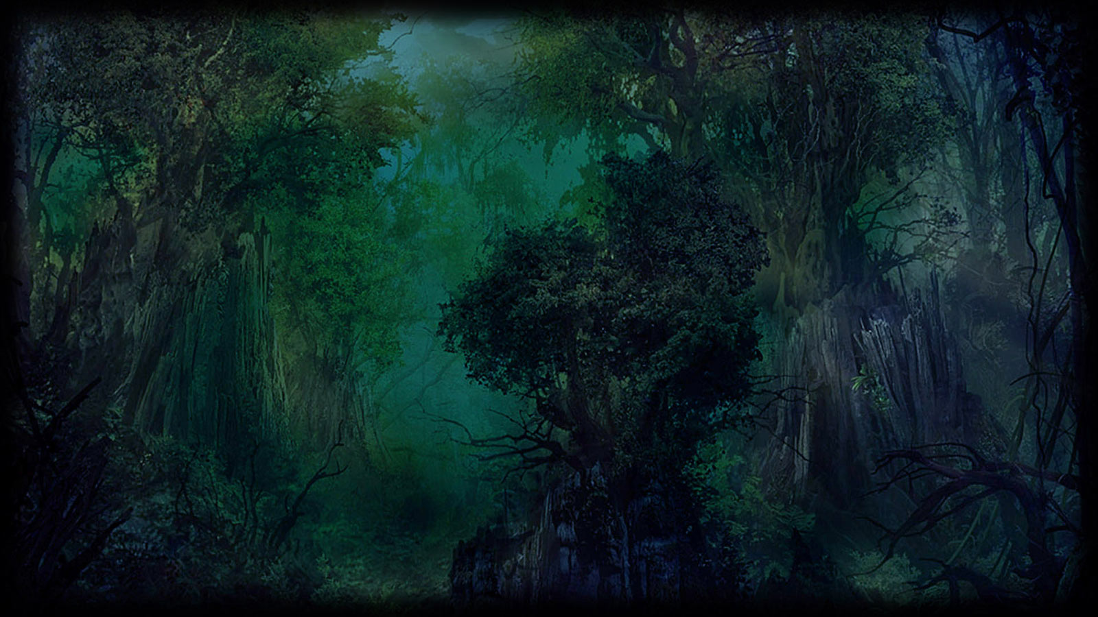 Misty Forest