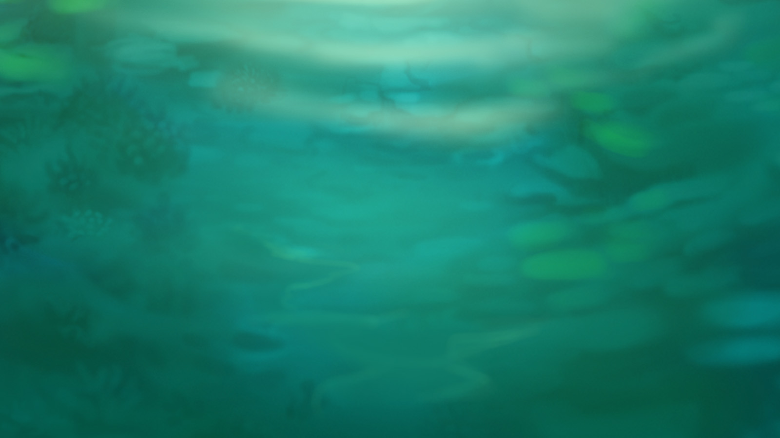 Shifting Seas
