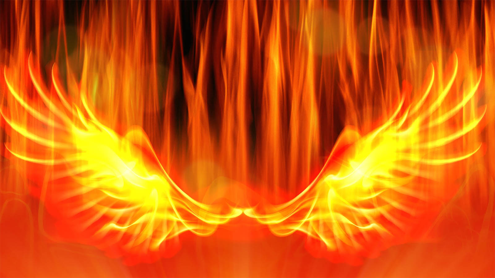 Fenix Play