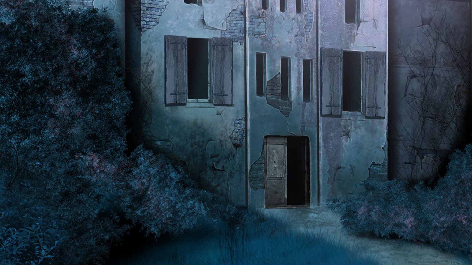 Haunted Hospital