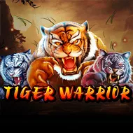 spadegaming/TigerWarrior