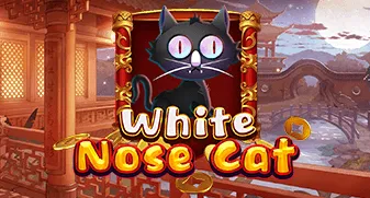 kagaming/WhiteNoseCat