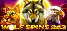 1spin4win/WolfSpins243