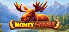 booming/MoneyMoose
