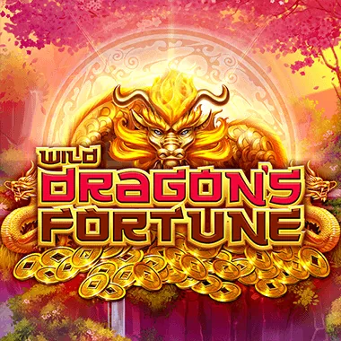 tomhorn/WildDragonsFortune