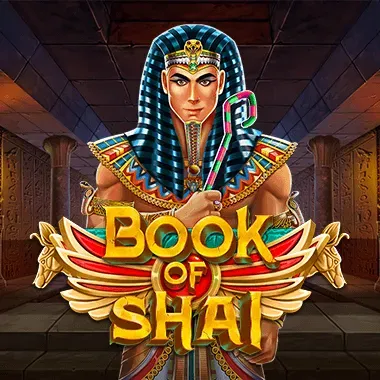 swintt/BookofShai