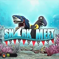 booming/SharkMeet