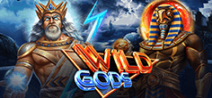 Wild Gods