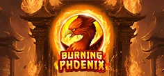 amigo/BurningPhoenix