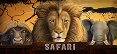 Safari