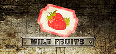 Wild Fruits