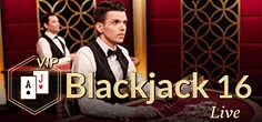 evolution/blackjack_vip_16