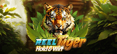 Reel Tiger