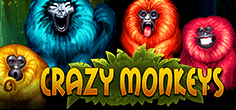 Crazy Monkeys