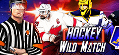 Hockey Wild Match