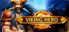 Viking Hero