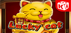 Lucky Cat