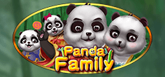 Panda Family