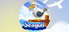 Seagull