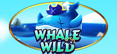 Whale Wild