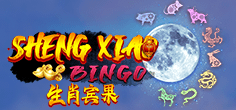 Sheng Xiao Bingo