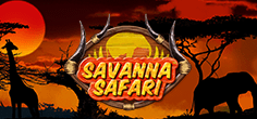 Savanna Safari