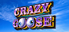 Crazy Goose