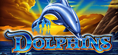 Dolphins
