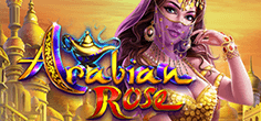 Arabian Rose