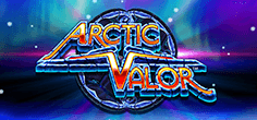 Arctic Valor