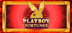 Playboy Fortunes