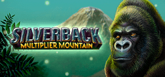 Silverback: Multiplier Mountain