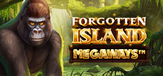 Forgotten Island