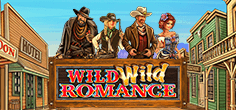 Wild Wild Romance