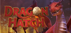 Dragon Hatch