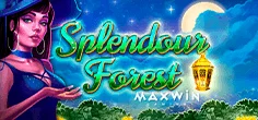 relax/SplendourForest