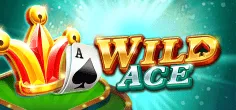 tadagaming/WildAce